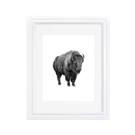 Bison Buffalo Art Canvas Print Male Wildlife Drawing Sketch Wall Decor Painting Bison Buffalo Art Canvas Print Male Wildlife Drawing Sketch Wall Decor Painting