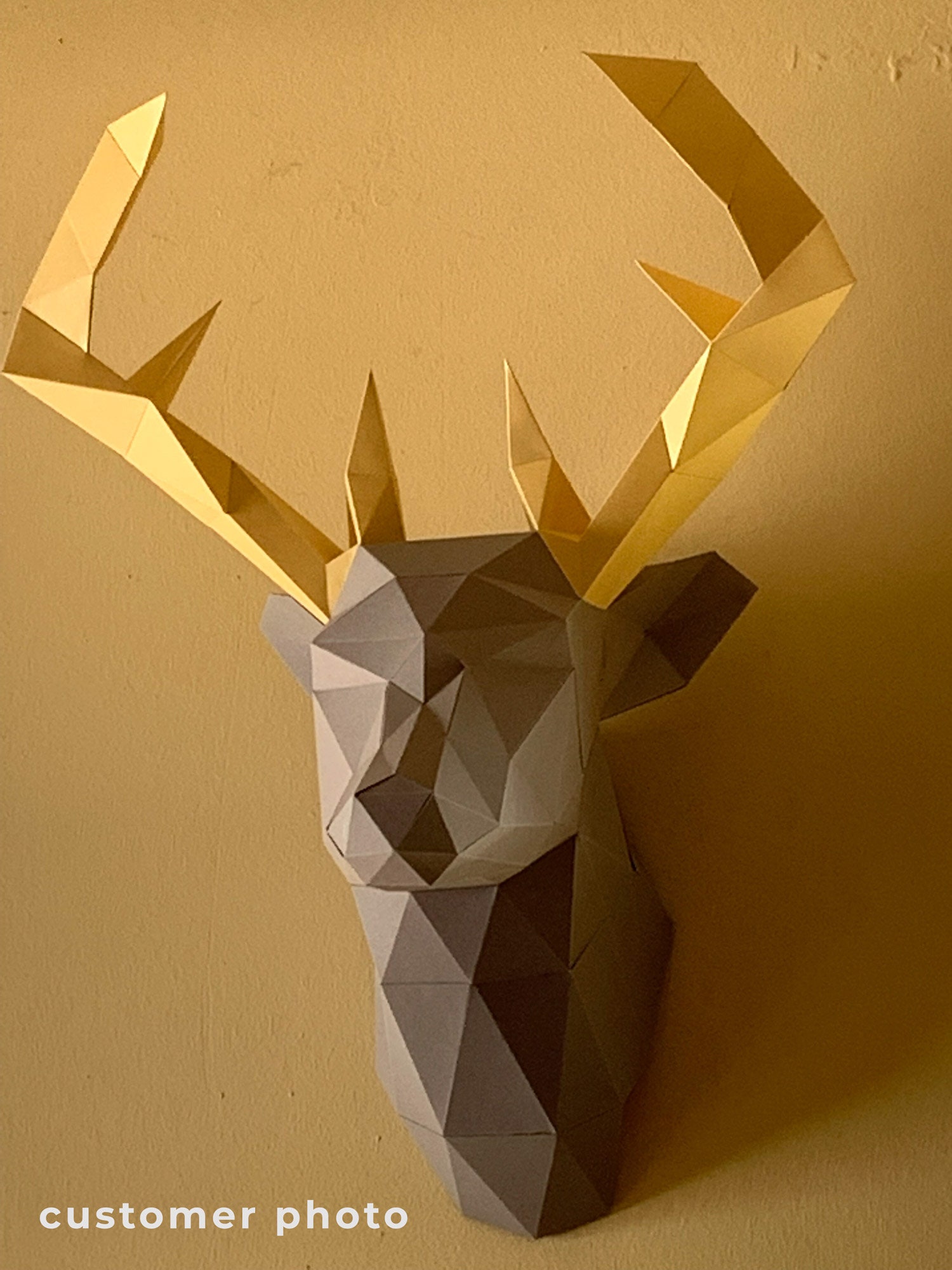 早いもの勝ち❗超美形❗鹿の剥製 鹿剥製壁かけ 鹿角オーナメント LCM 6760