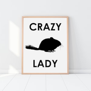 Funny Printable, Chinchilla lover, chinchilla poster, chinchilla print, funny wall art, chinchilla decor, printable women gift, crazy lady