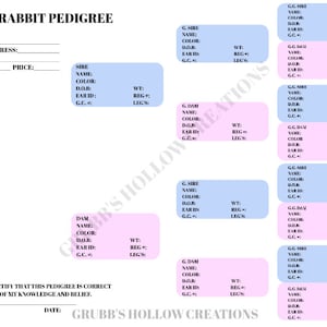 Rabbit Pedigree P211A