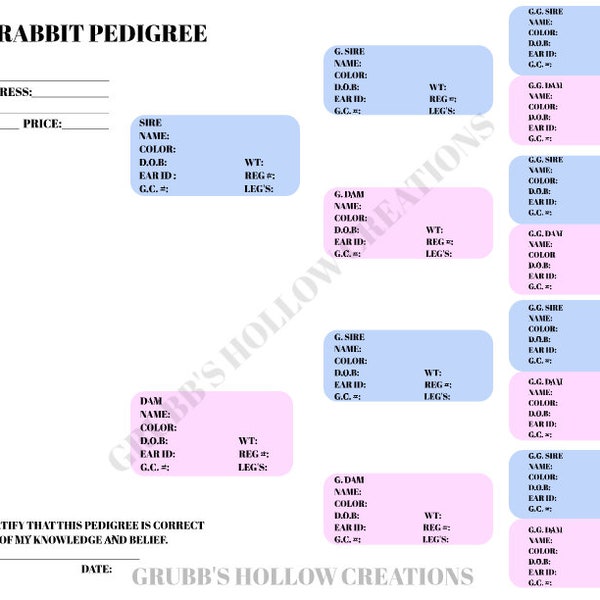 Rabbit Pedigree P211A