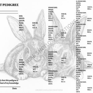 Rabbit Pedigree #2