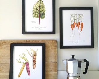 Vegetable Botanical Art Prints: Kitchen Watercolor Set of 3