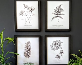 Botanical Prints Set de 4, créez un mur nature personnalisé, choisissez parmi 15 plantes, avec des œuvres de Kristen Johns, 5x7 ou 8x10 pouces,