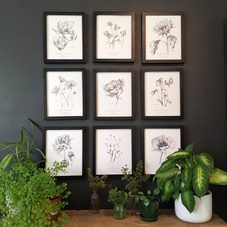 Set of 3 Flower Botanical Art Prints in Graphite by Artist Etsy Canada