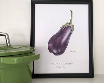 Eggplant Botanical Art Print: Kitchen Decor, Signed 8x10