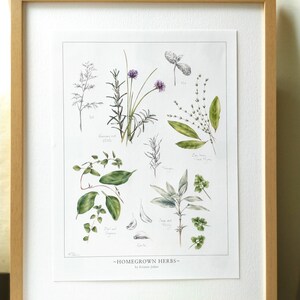 Homegrown Herb Botanical Art Print - 12x16 inches, by Kristen Johns, kitchen art, culinary herbs, organic plants