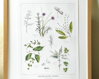 Homegrown Herb Botanical Art Print - 12x16 pouces, par Kristen Johns, art de la cuisine, herbes culinaires, plantes biologiques