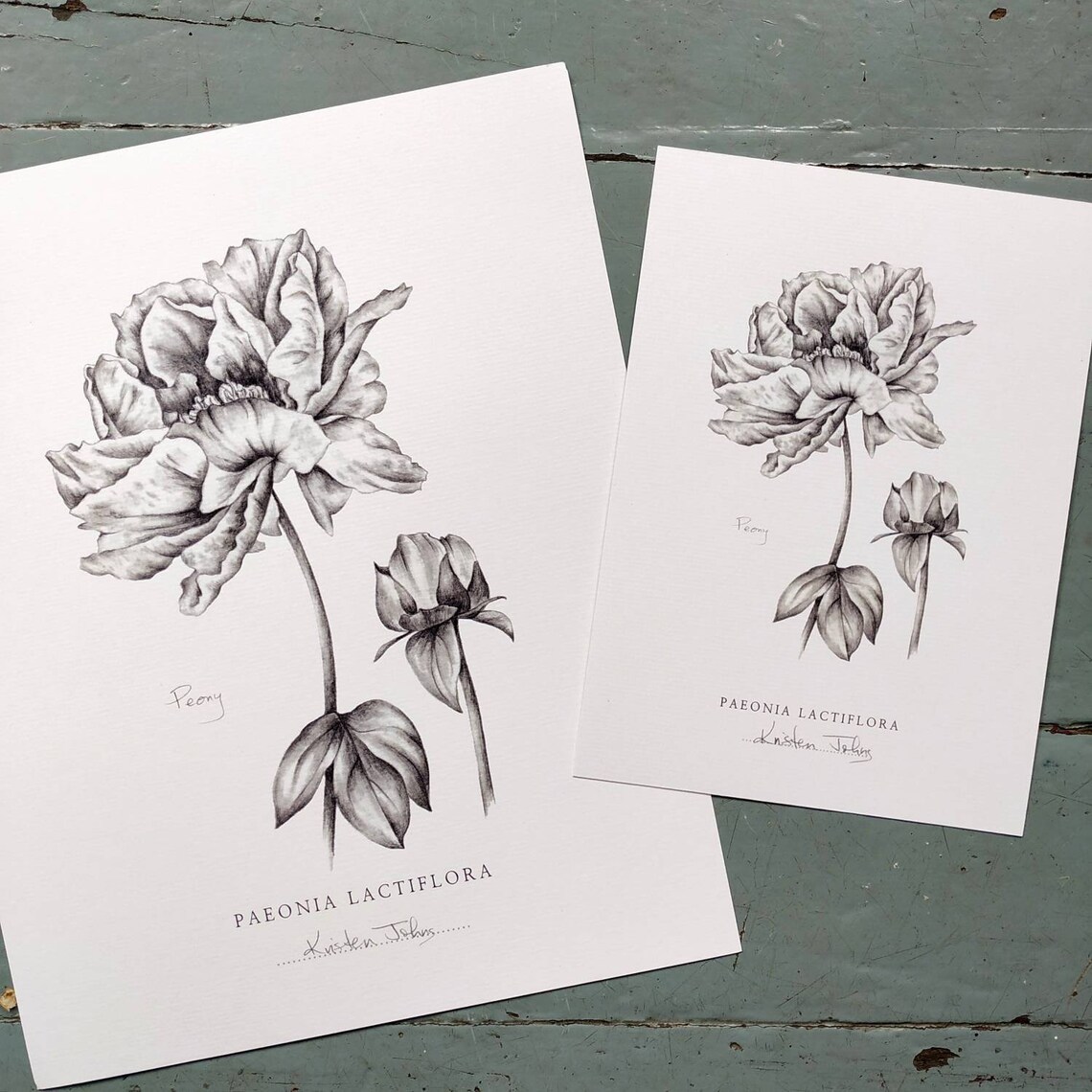 Set of 3 Flower Botanical Art Prints in graphite by artist Etsy