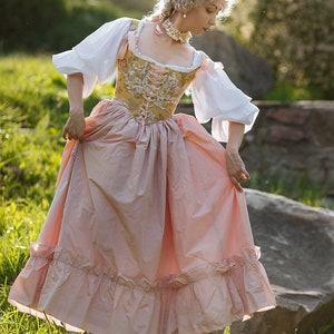 Rococo 18th century Toile de Jouy fashion soft stays corset image 4