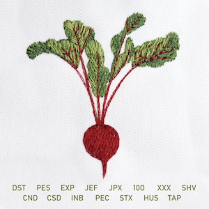 May include: Embroidered image of a red beetroot with green leaves and red stems. The beetroot is round with a pointed bottom. The leaves are green with yellow and red accents. The image is on a white background. Text at the bottom includes abbreviations.