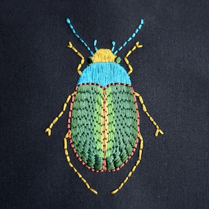 Beetle, Insect, Machine Embroidery Design, 4x4 Hoop, Digital embroidery file, Instant download, DST file, PES file, hus, exp, jef, vp3