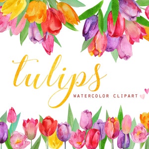 Watercolor clipart Tulip Bouquet Flower Pink Red Digital download Hand painted Wedding invitation Greeting card Scrapbooking Large size PNG