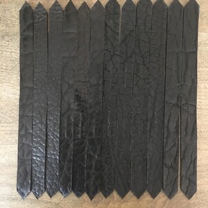 Puede incluir: Un conjunto de 15 tiras de cuero negro con extremos puntiagudos, dispuestas en fila.