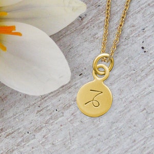 14 Karat Gold CAPRICORN Zodiac Charm, Rose Gold Celestial Capricorn, White Gold Zodiac Charm, Gold Astrological Sign, Gold Star Sign Charm