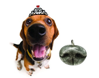 Dog Nose Mold Kit - Make a Mold of Your Dog's Nose, Dog Nose Impression Kit, Cat Nose Dog Cat Jewelry, Pet Prints - Jewelry Not Included
