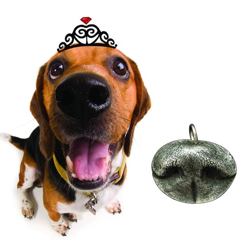 Dog Nose Mold Kit Make a Mold of Your Dog's Nose Dog Etsy