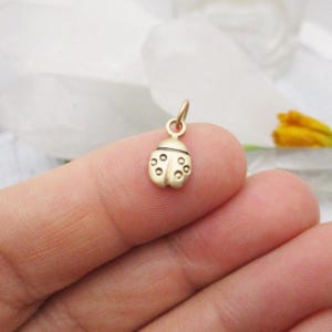 Gold Ladybug Charm, My Little Love Bug Charm in Solid Gold