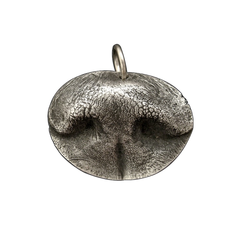 Dog Nose Mold Kit Make a Mold of Your Dog's Nose Dog Etsy UK