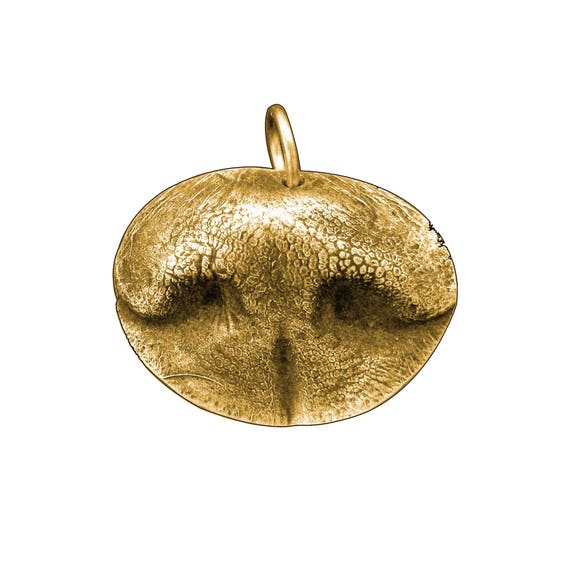etsy dog nose necklace