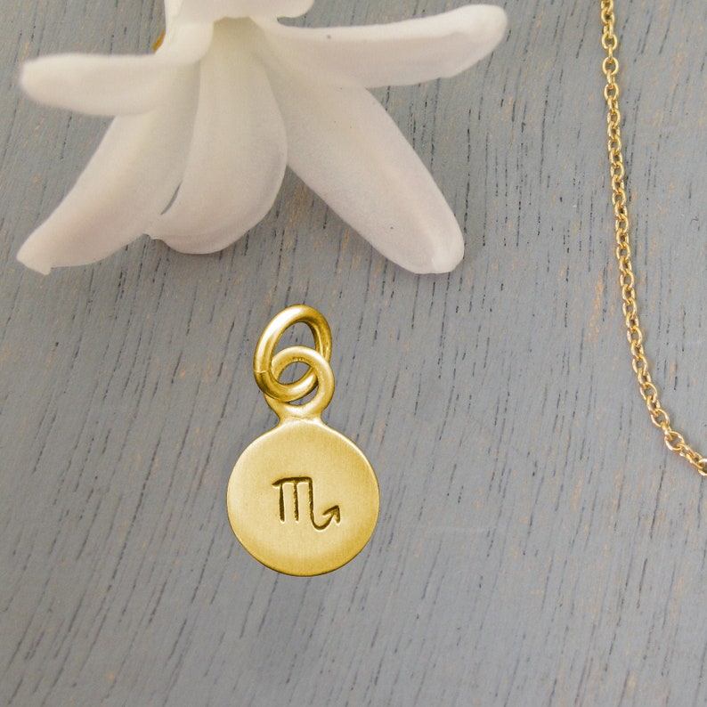 Puede incluir: Encanto de oro con el s&iacute;mbolo del zod&iacute;aco de Escorpio. El encanto es redondo y tiene un bucle para sujetarlo a un collar o pulsera.