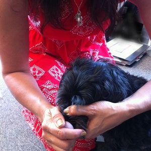 May include: A red dress with a white geometric pattern. A black dog is being held. A silver necklace with a pendant is visible. The dog's fur is black and fluffy.