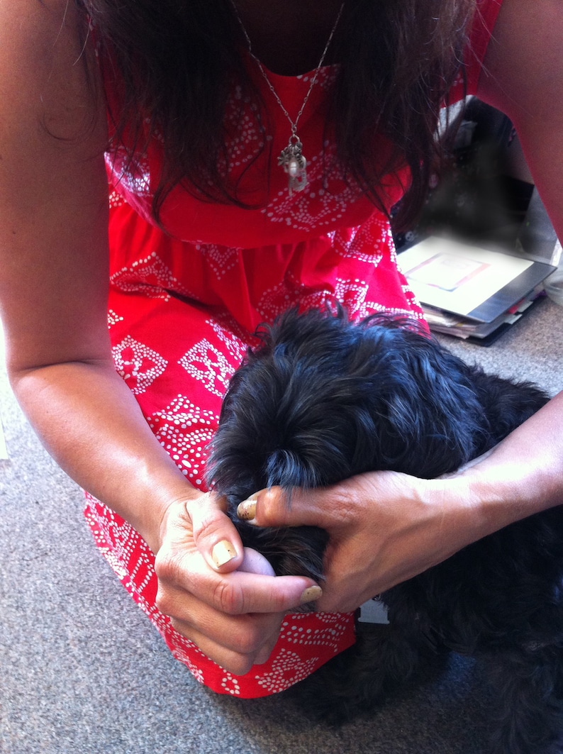 Dog Nose Mold Kit Make a Mold of Your Dog's Nose Dog Etsy