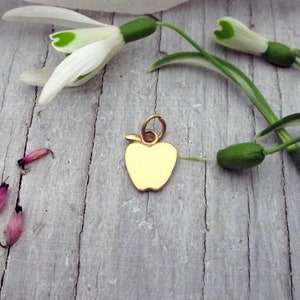 14K Yellow Gold Apple Charm. Solid Yellow Gold Apple Pendant