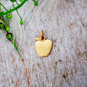 May include: A gold-colored apple charm pendant. The charm is a simple, solid design with a smooth, shiny finish.