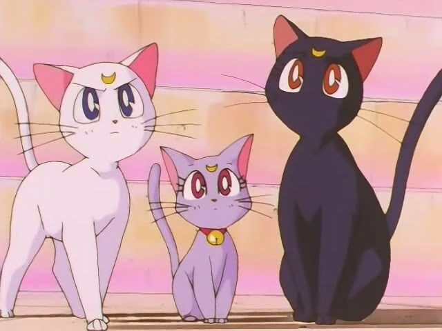 Sailor Moon Cat Hair Pin Luna Artemis Diana Kawaii Anime Etsy Uk Sailor Moon Cat Hair Pin Luna Artemis Diana Kawaii Anime Etsy Uk