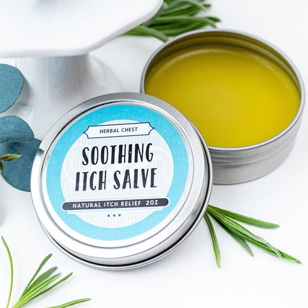 Soothing Itch Salve, Herbal Anti Itch Cream for Bug Bites, Irritated Skin Rash Relief, Natural Holistic Health Remedy, Wellness Self Care