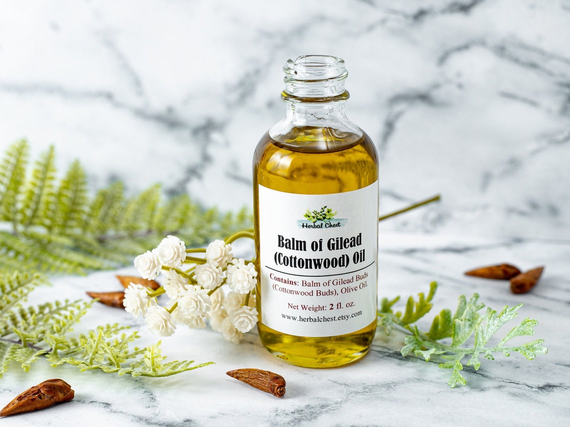 Balm of Gilead Oil Cottonwood Bud Herbal Infused Natural Etsy