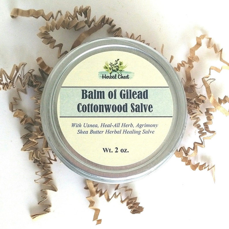 Balm of Gilead Herbal Healing Salve Cottonwood Buds Balm Dry Etsy