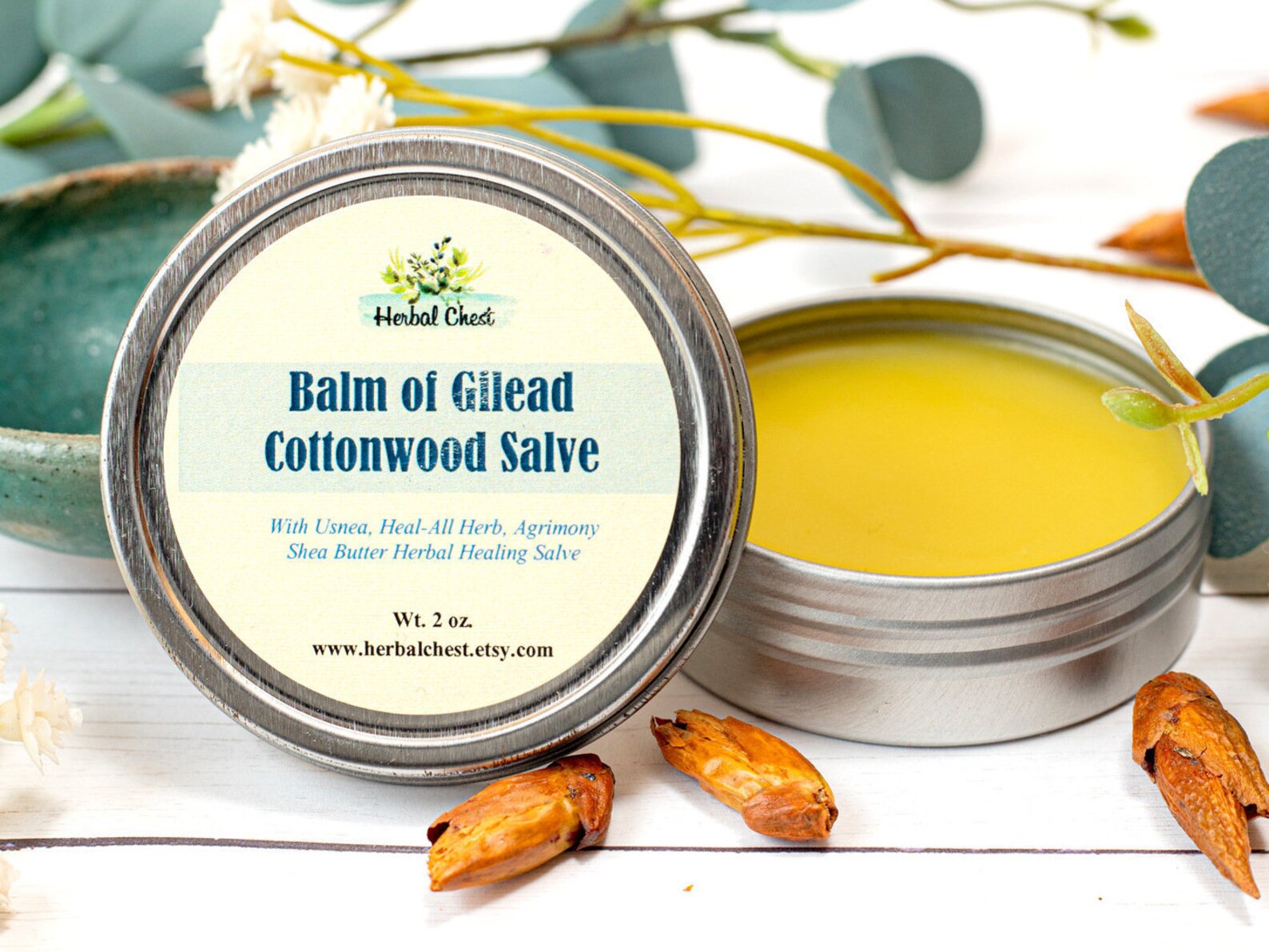 Balm of Gilead Herbal Healing Salve Cottonwood Buds Dry Etsy