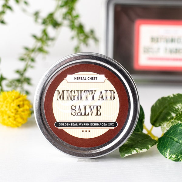 Herbal Mighty Aid Salve, Holistic Healing Skin Ointment, Goldenseal Myrrh Infusion Natural Wound Care Cream, Wellness Gift, Eco Friendly