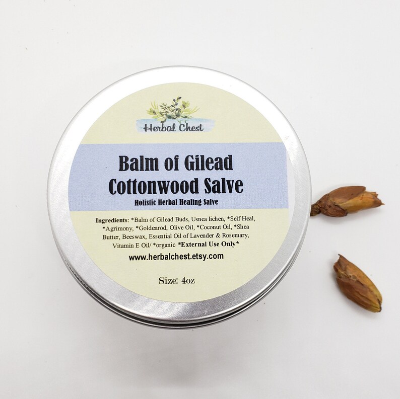 Balm of Gilead Herbal Healing Salve Cottonwood Buds Balm Dry Etsy