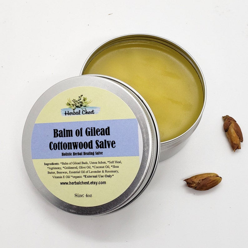 Balm of Gilead Herbal Healing Salve Cottonwood Buds Balm Dry Etsy
