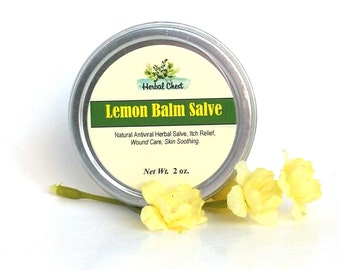 Lemon Balm Salve, Herbal Healing Balm, Antiviral Skin Salve, Wound Care, Itch Relief Natural Remedy, Shea Butter Cream, Dry Skin Moisturizer