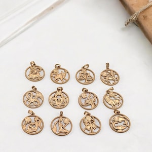 Pink Gold Filled Size 23x20mm Coin Medallion Charms 12 Astrology Signs Round Pendant for DIY Necklace/Bracelet & Gifts