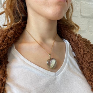 May include: A gold chain necklace with a heart-shaped locket pendant. The locket is clear and contains a dried flower.