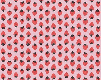 Paintbrush Studios Sold by the Half Yard Oranges on Pink Fruity Maja Faber