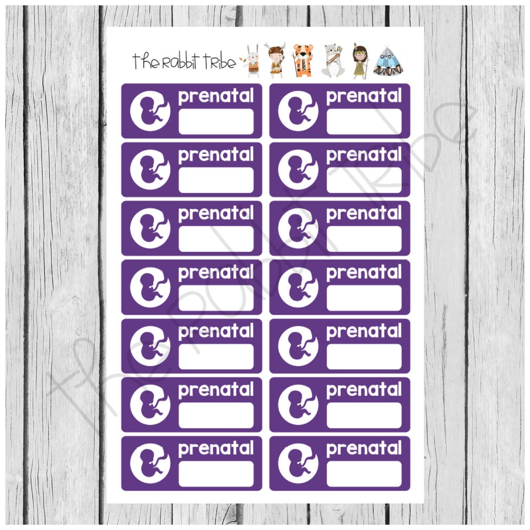 Mini Sticker Sheet Prenatal Appointment Box, Baby Planner Stickers - Etsy