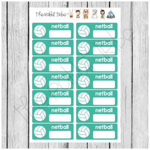 Mini Sticker Sheet - netball, sport, self care - planner stickers