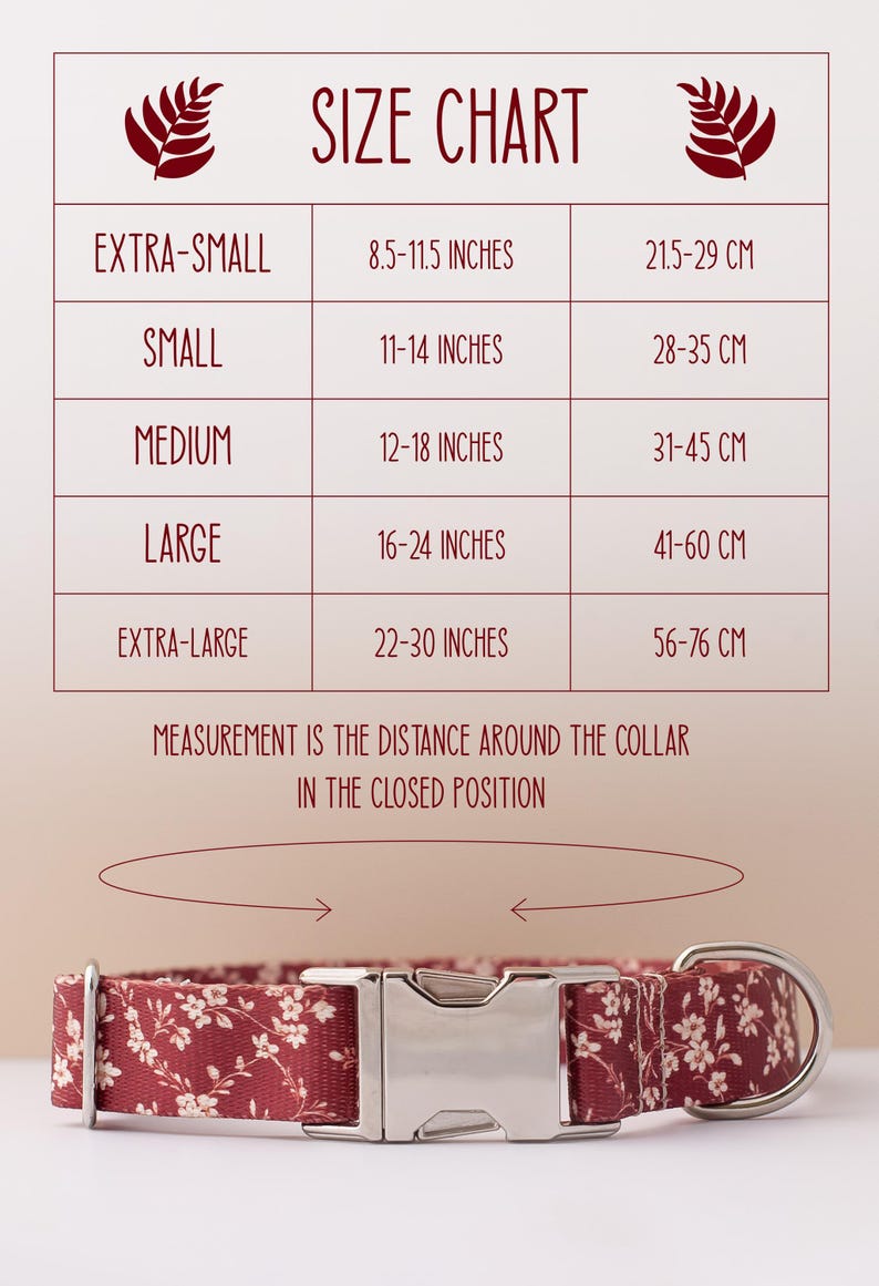 Puede incluir: Tabla de tallas para collares de perro en pulgadas y cent&iacute;metros. La tabla muestra el tama&ntilde;o del collar en pulgadas y cent&iacute;metros para collares extra peque&ntilde;os, peque&ntilde;os, medianos, grandes y extra grandes. La tabla tambi&eacute;n incluye un diagrama que muestra c&oacute;mo medir el cuello de un perro para obtener el tama&ntilde;o de collar correcto.