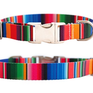 Op de afbeelding: Een kleurrijk gestreept hondenhalsband met een zilveren gesp en een D-ring. De halsband is gemaakt van duurzaam nylon en heeft een verscheidenheid aan felle kleuren, waaronder rood, oranje, geel, groen, blauw en paars.