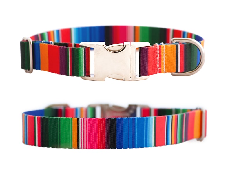 Op de afbeelding: Een kleurrijk gestreept hondenhalsband met een zilveren gesp en een D-ring. De halsband is gemaakt van duurzaam nylon en heeft een verscheidenheid aan felle kleuren, waaronder rood, oranje, geel, groen, blauw en paars.