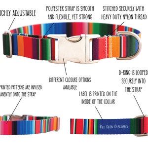 Op de afbeelding: Een kleurrijk gestreept hondenhalsband met een zilveren gesp en een D-ring. De halsband is verstelbaar en heeft een label dat aan de binnenkant van de halsband is gedrukt. De tekst "Red Fern Fashions" is op de halsband gedrukt.