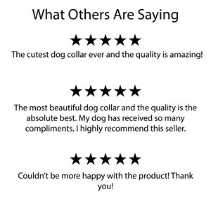 a black and white image of five stars with the words, what others are saying