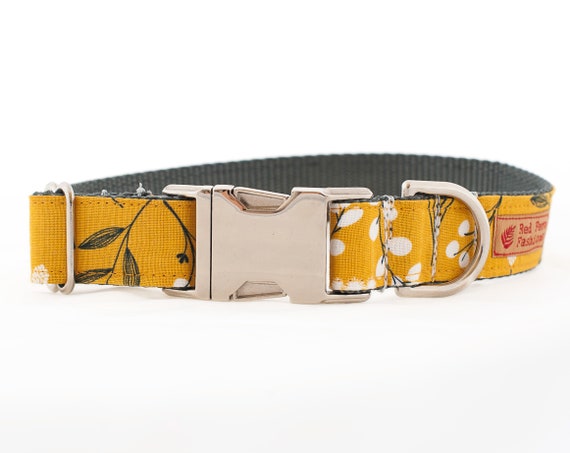 mustard yellow dog collar