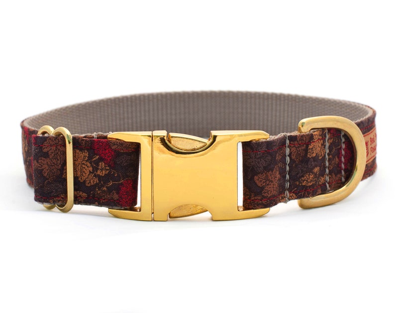 fall dog collar
